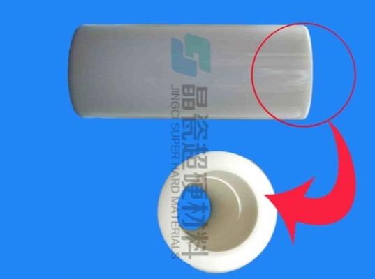 Tuffatore ceramico dell'allumina resistente alla corrosione, pistoni ceramici, componenti di pompa agricole Al2O3 di 99%